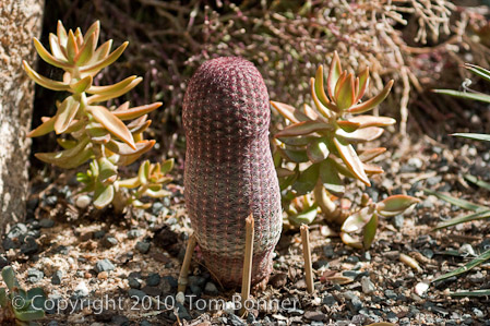 1/1250 sec at f / 4.0
