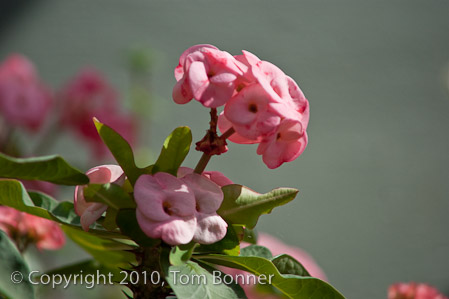 1/2500 sec at f / 4.0