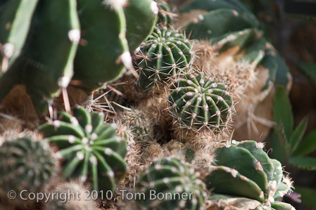 1/500 sec at f / 4.0
