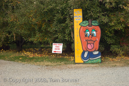 Measuring post, Apple Hill Orchard, NC