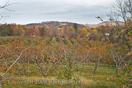 Color change, South Moutain, NC