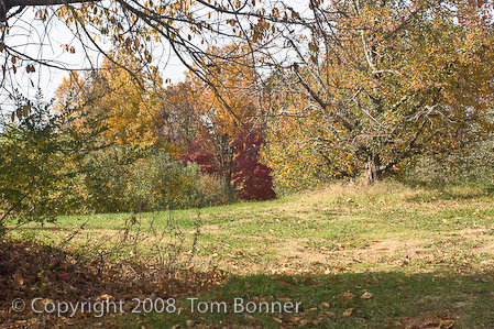 Scenic view, Apple Hill Orchard