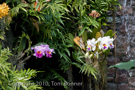1/500 sec at f / 4.0