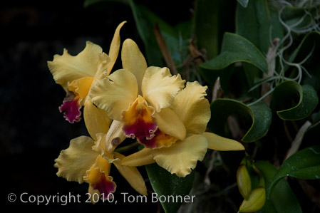1/160 sec at f / 4.0