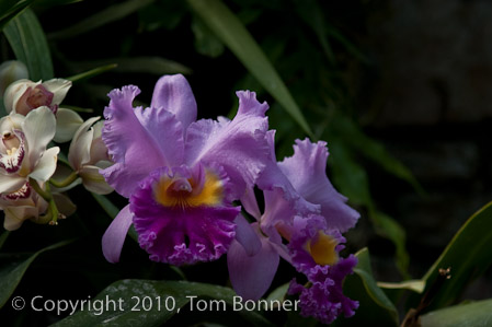 1/160 sec at f / 4.0