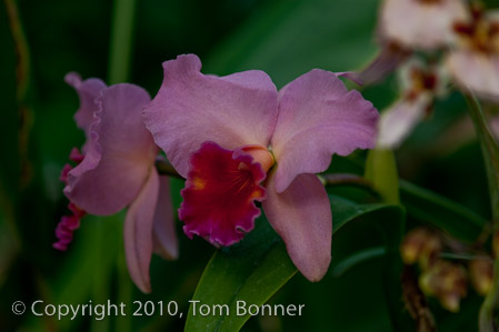 1/200 sec at f / 4.0