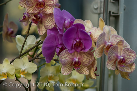 1/250 sec at f / 4.0